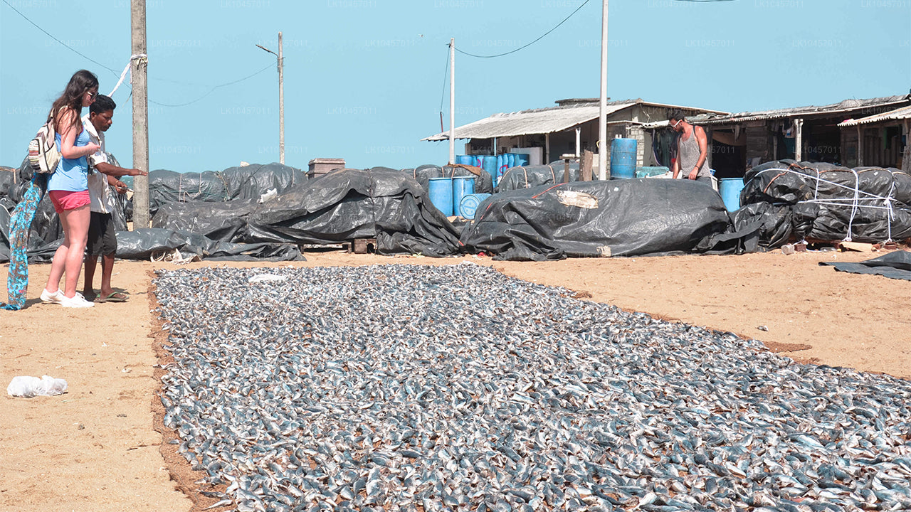 Plage et ville (4 jours)