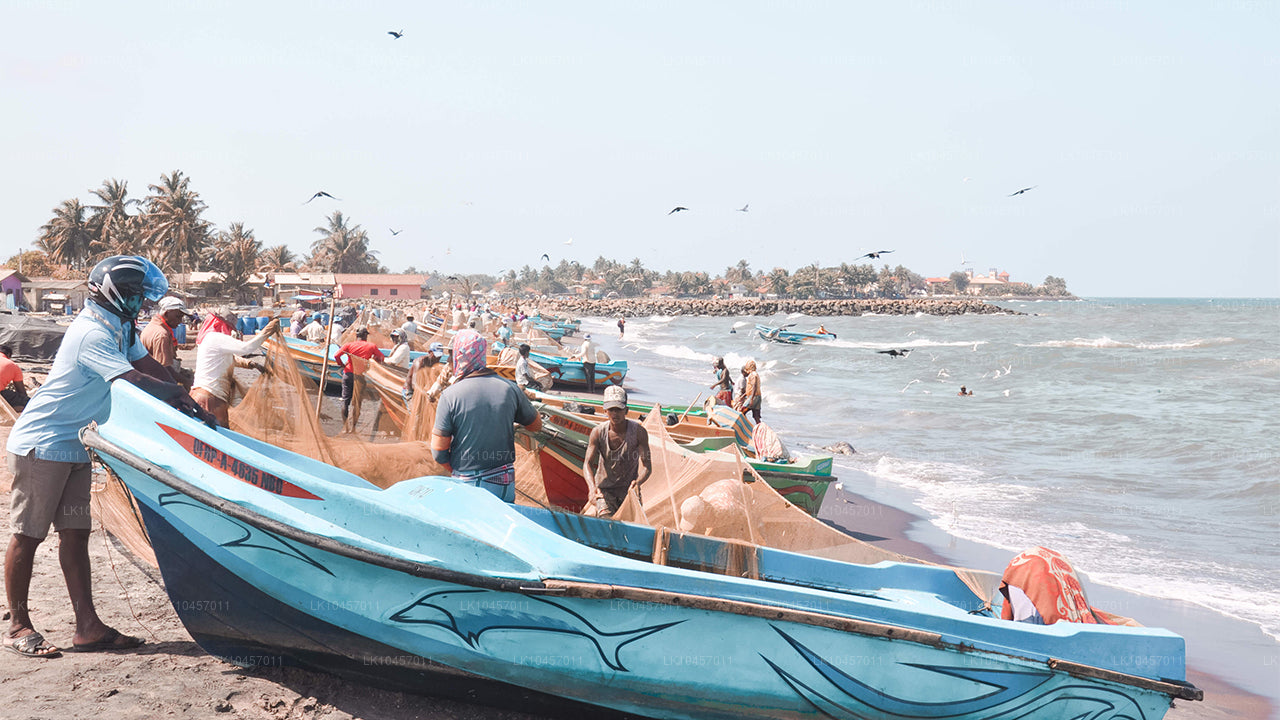 Plage et ville (4 jours)