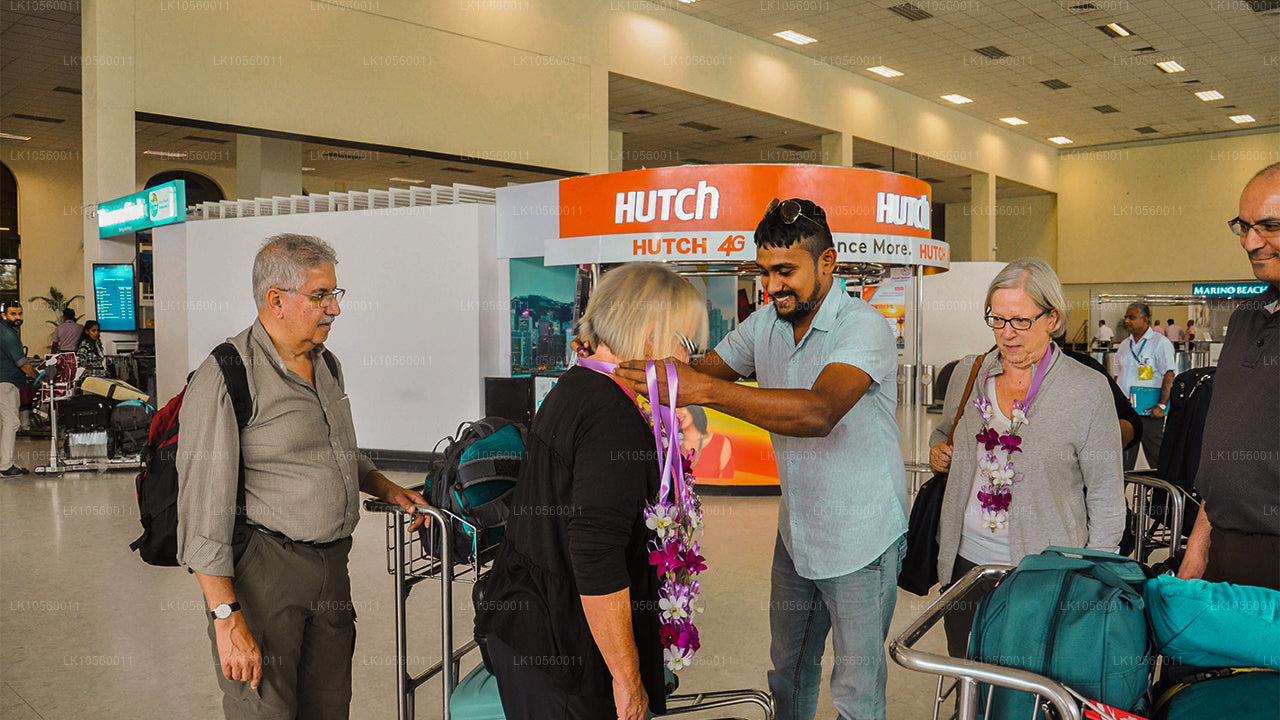 Ceinture côtière du Sud (5 jours)