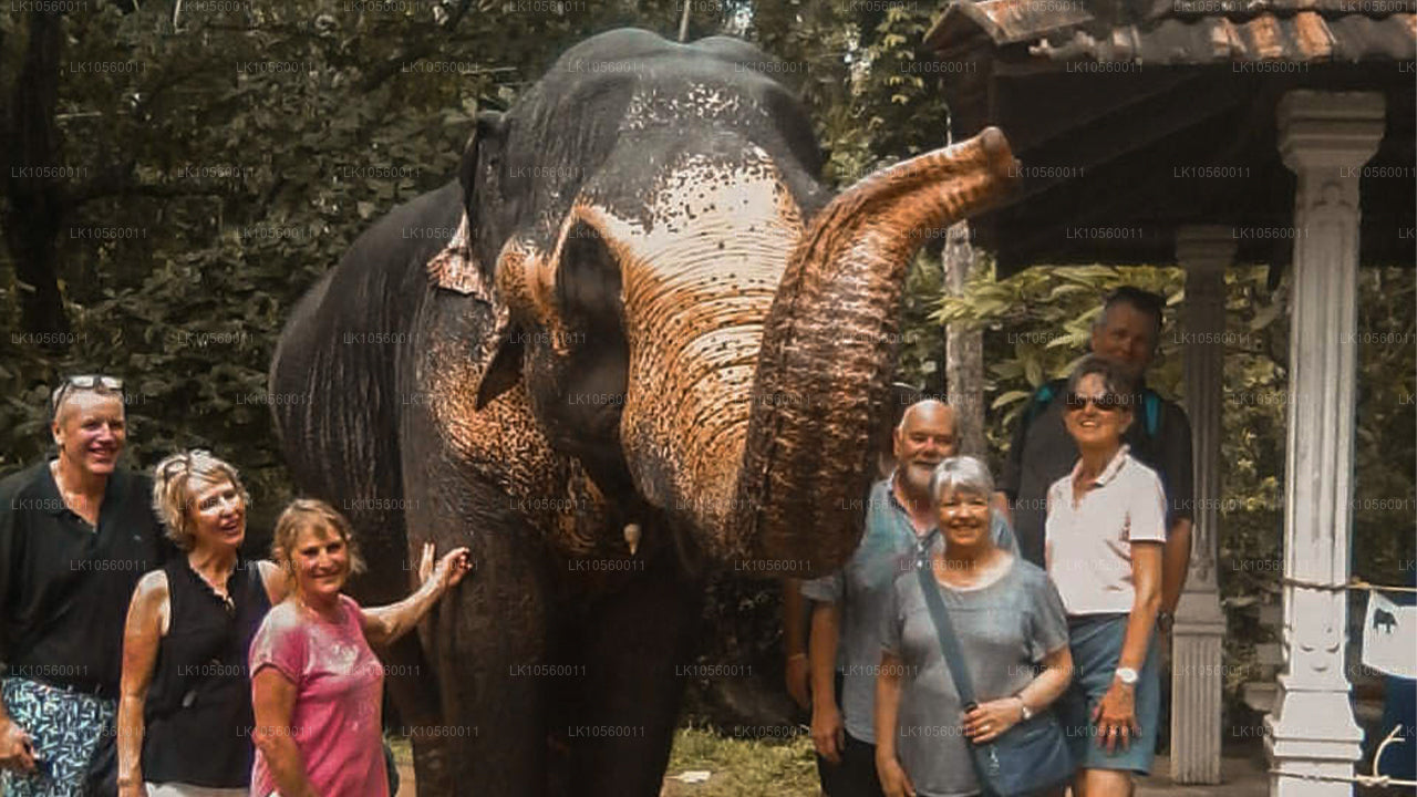 Ceinture côtière du Sud (5 jours)