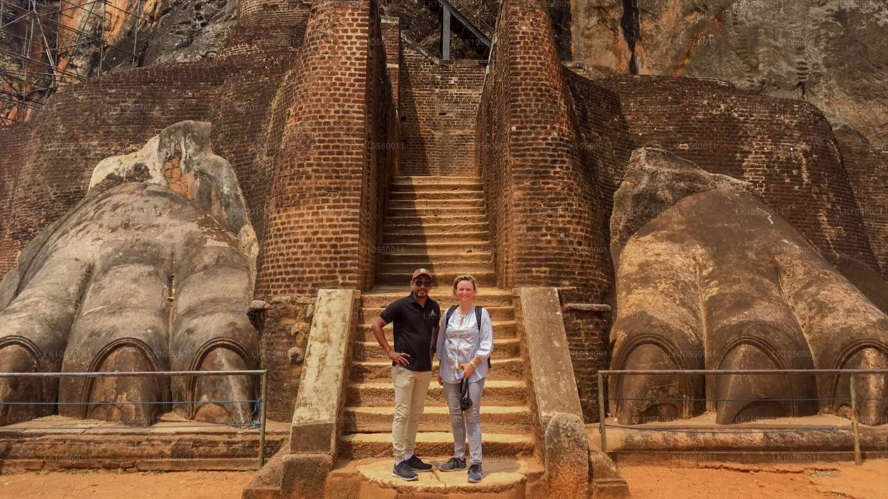 Ceinture côtière du Sud (5 jours)