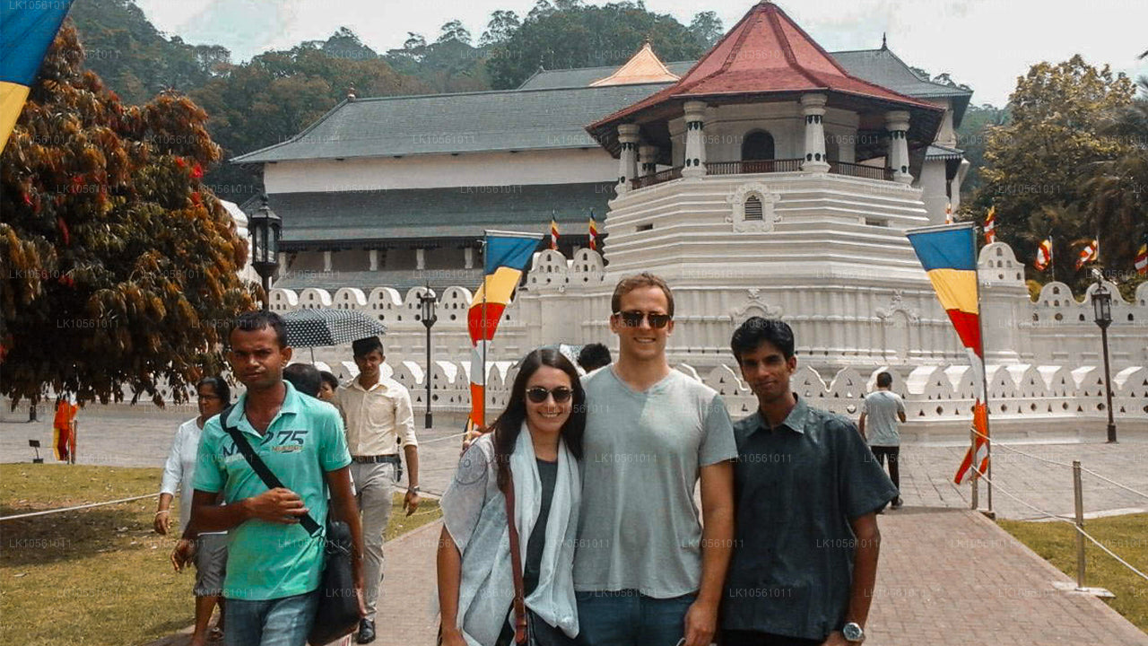 L'île des merveilles (5 jours)