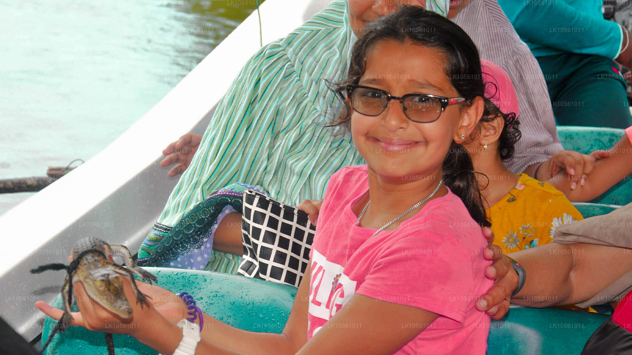 L'île des merveilles (5 jours)