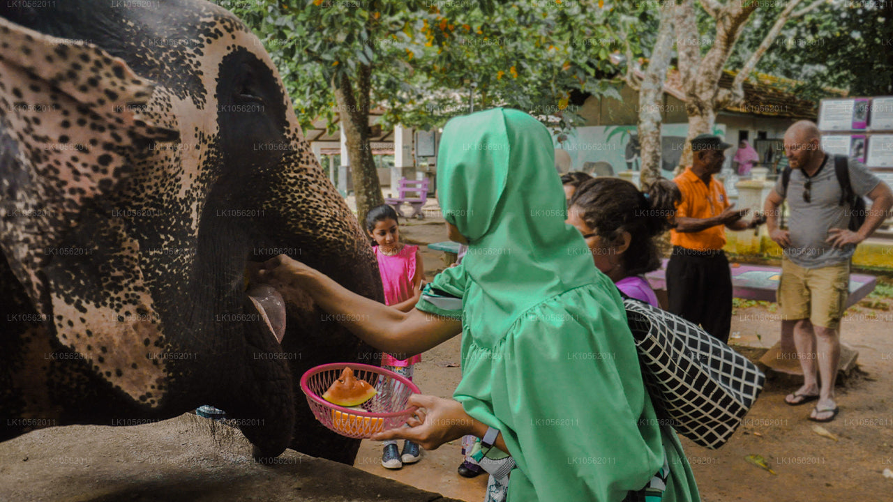 Aperçu du Sri Lanka (5 jours)
