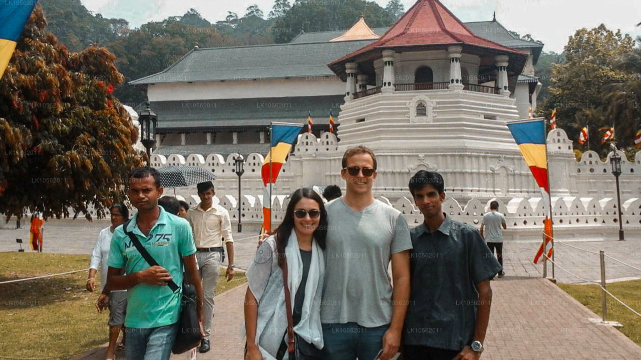 Aperçu du Sri Lanka (5 jours)