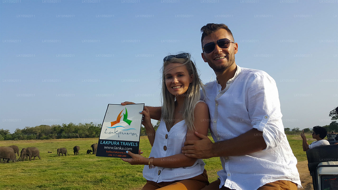 Aperçu du Sri Lanka (5 jours)