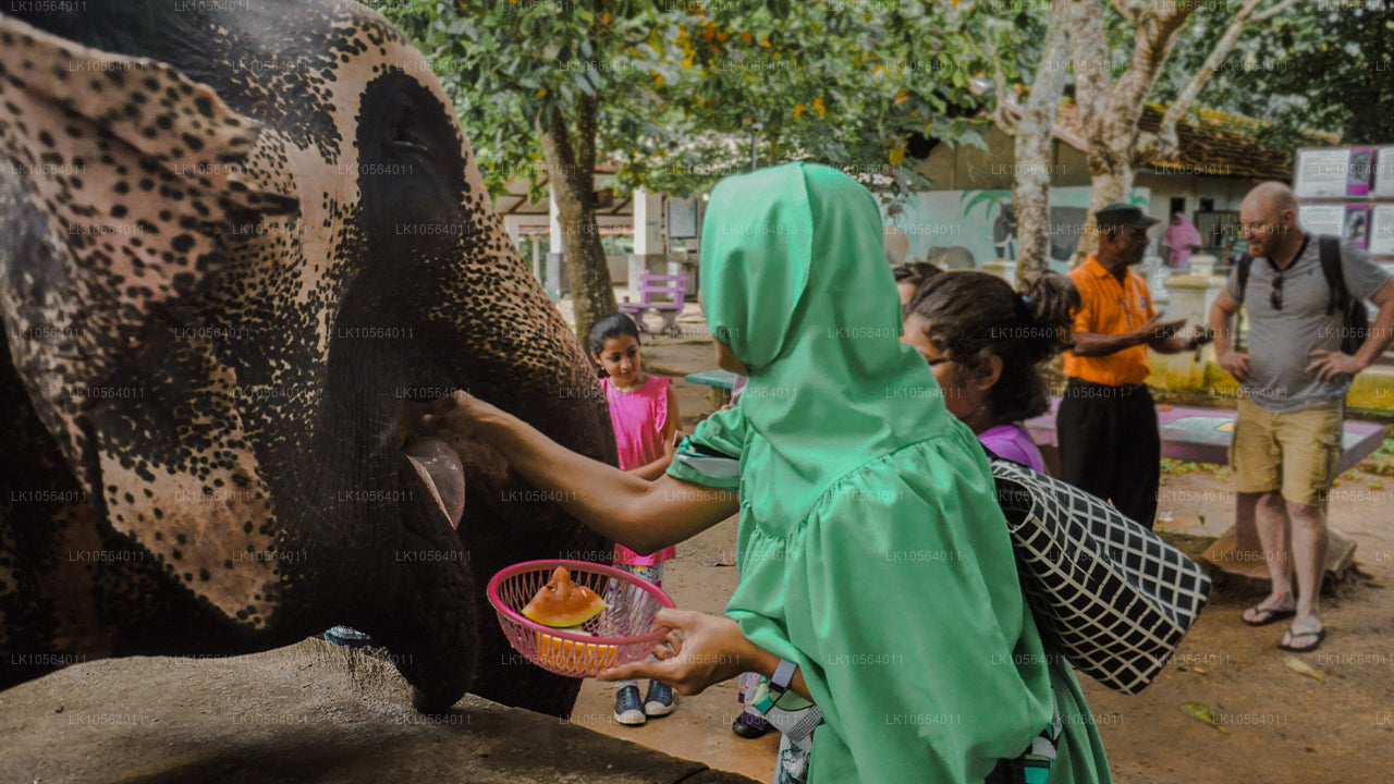 Les meilleurs endroits du Sri Lanka (5 jours)