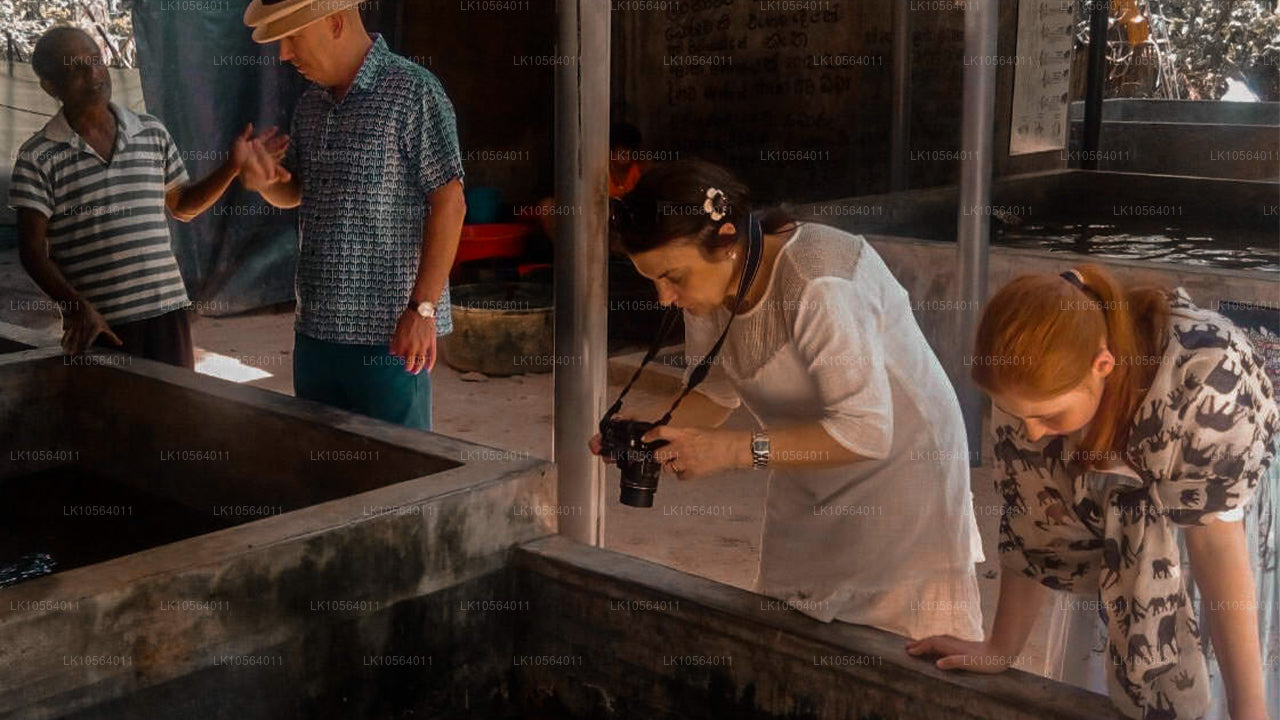 Les meilleurs endroits du Sri Lanka (5 jours)