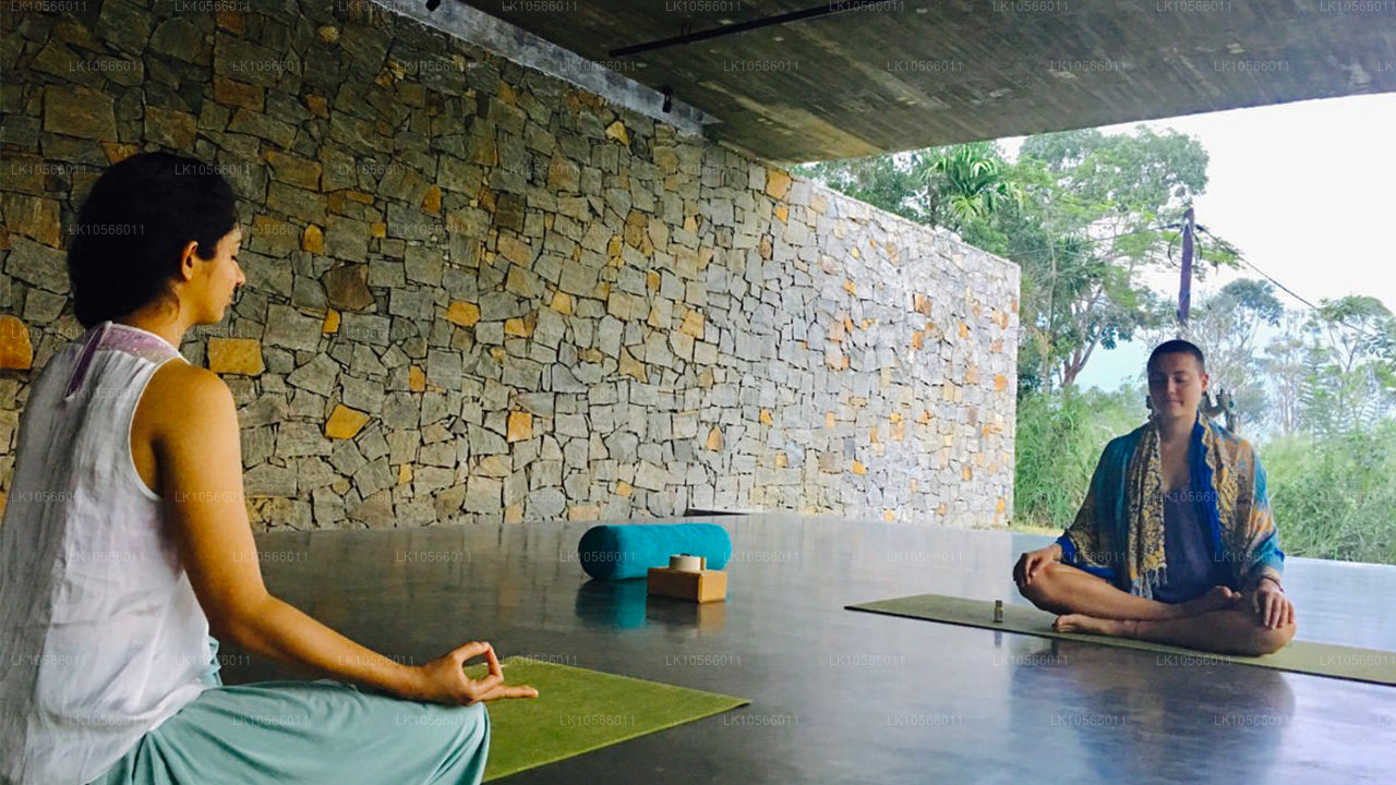 Visite de méditation et de yoga (5 jours)