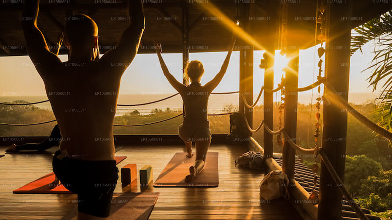 Visite de méditation et de yoga (5 jours)