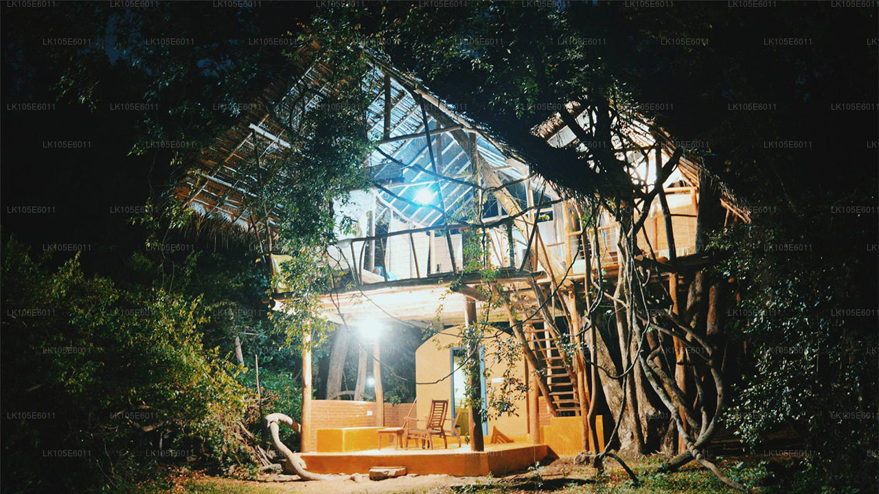 Excursions écologiques au Sri Lanka (6 jours)