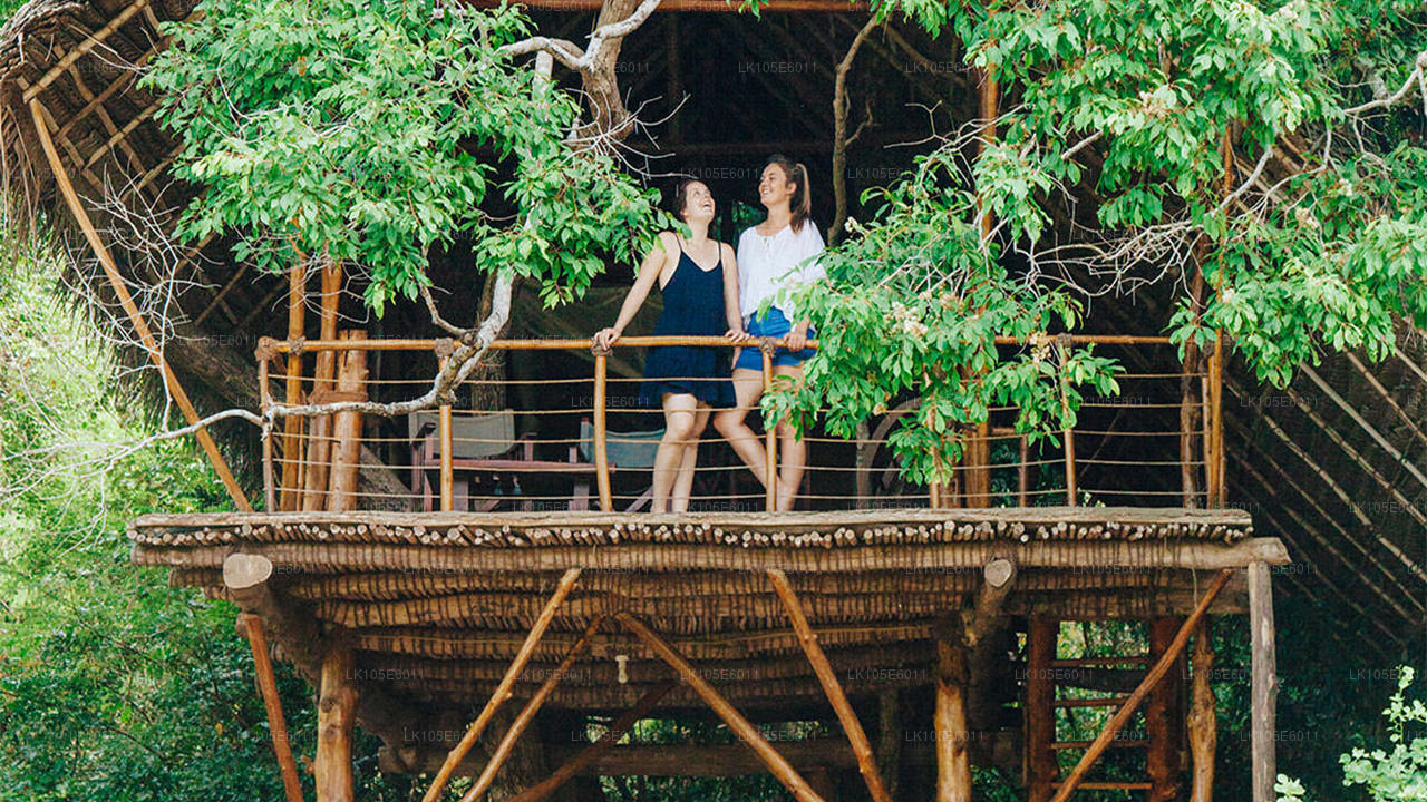 Excursions écologiques au Sri Lanka (6 jours)