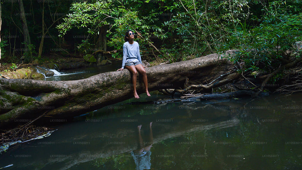 Excursions écologiques au Sri Lanka (6 jours)