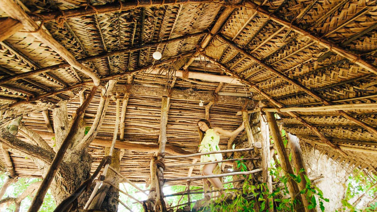 Excursions écologiques au Sri Lanka (6 jours)