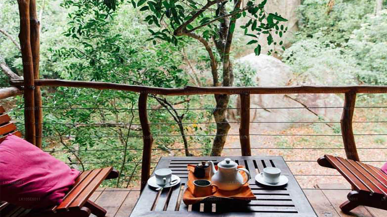 Excursions écologiques au Sri Lanka (6 jours)