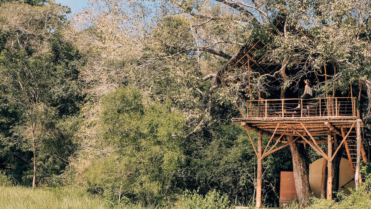 Excursions écologiques au Sri Lanka (6 jours)