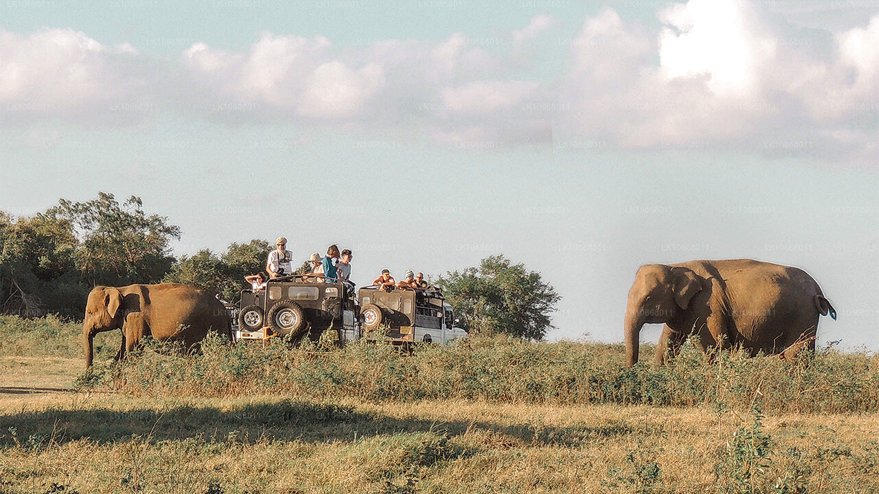 Splendide Sri Lanka (6 jours)