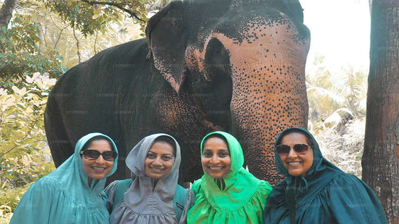 Nature, collines et vie sauvage (6 jours)