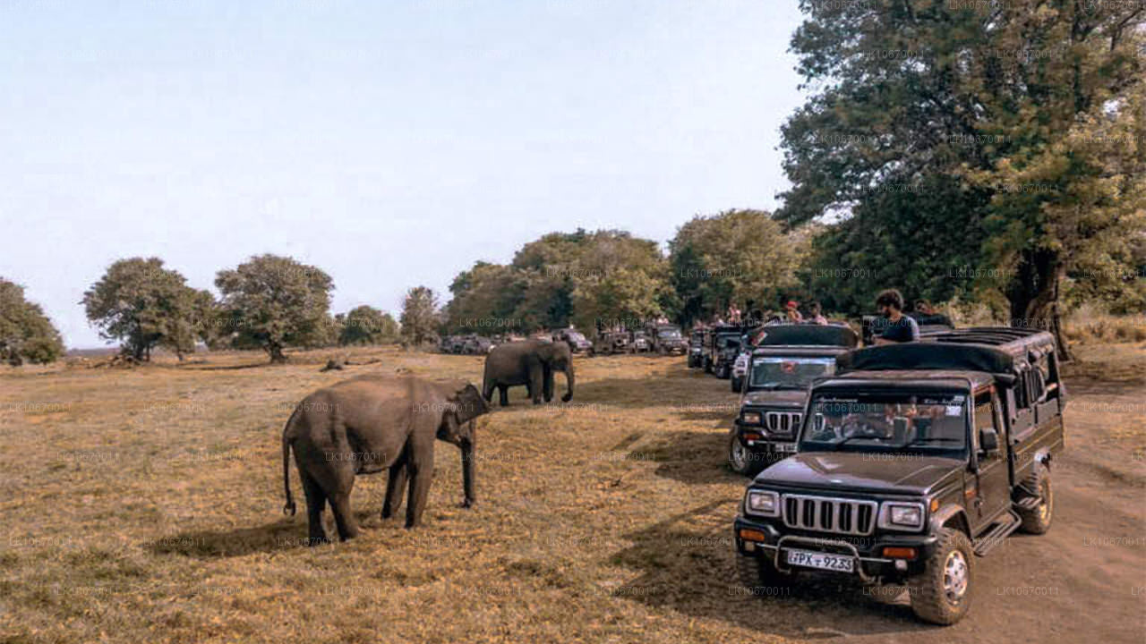 Pays culturel et central (6 jours)