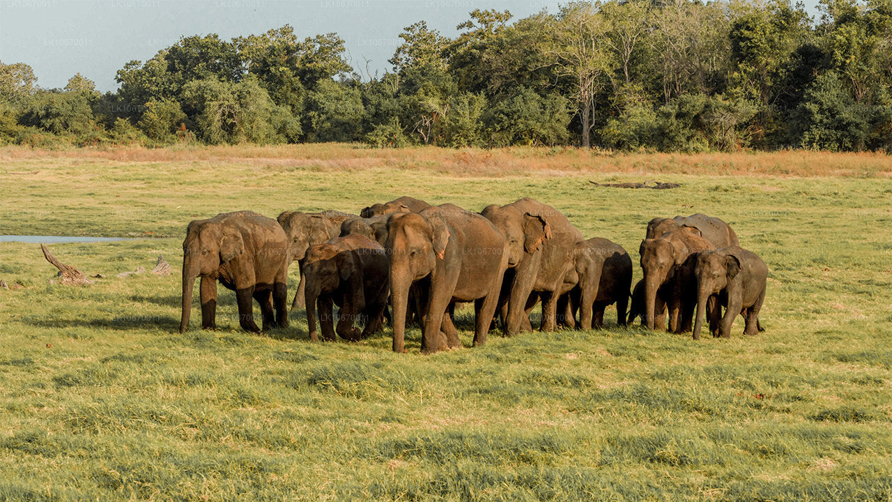 Pays culturel et central (6 jours)