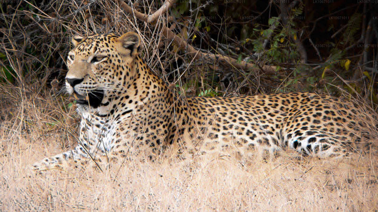 Sentier du Ramayana (6 jours)