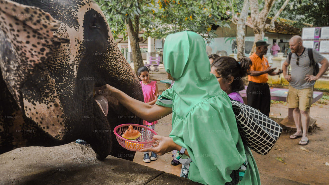 Pèlerinage bouddhiste (6 jours)
