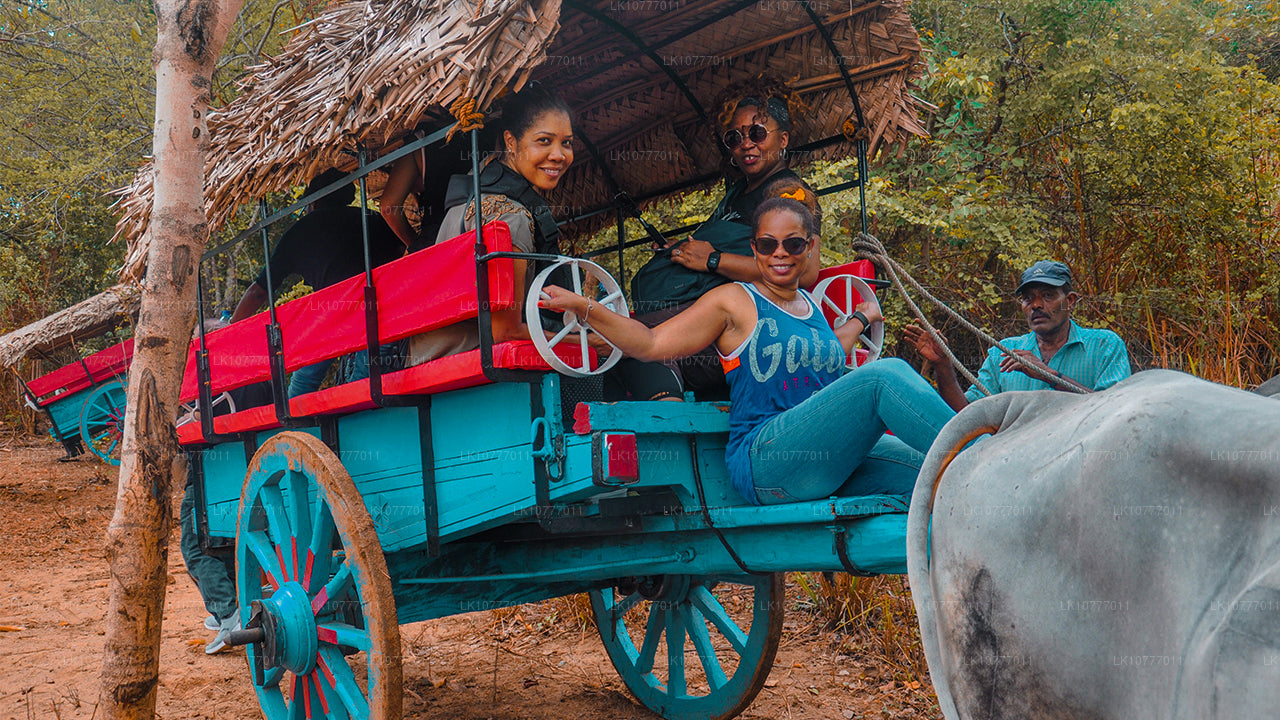 Semaine au paradis (7 jours)