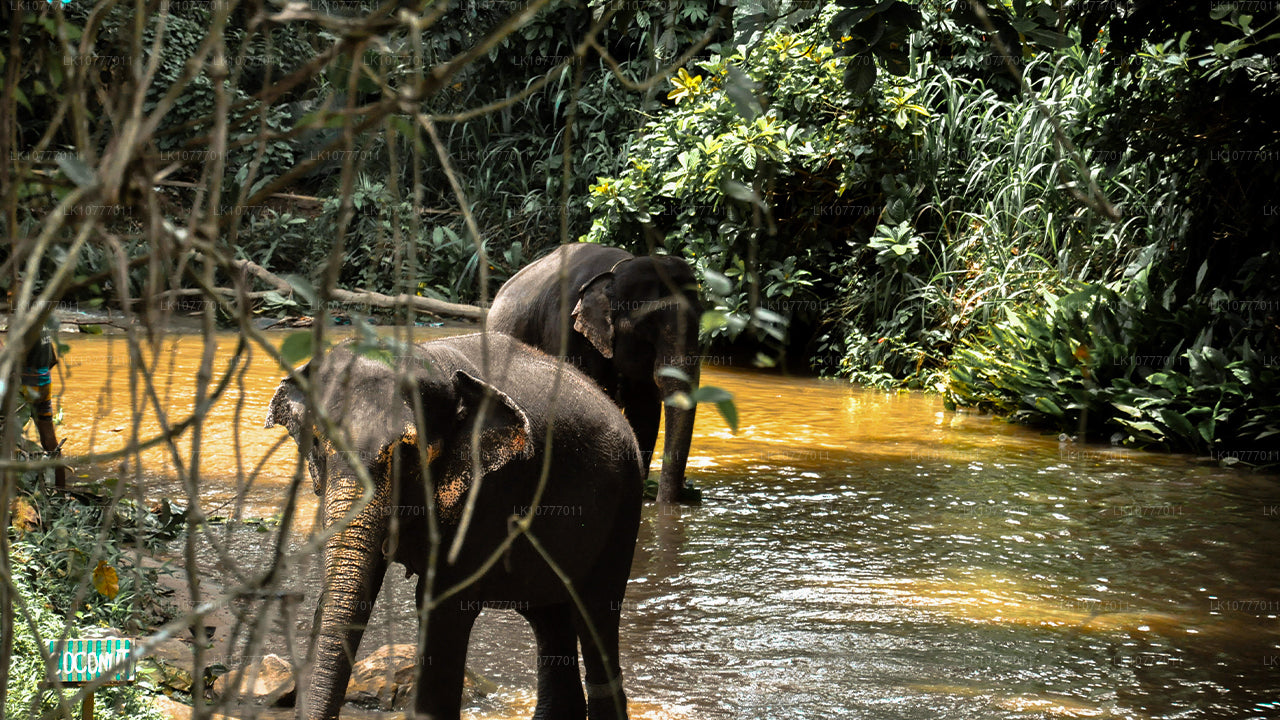 Semaine au paradis (7 jours)