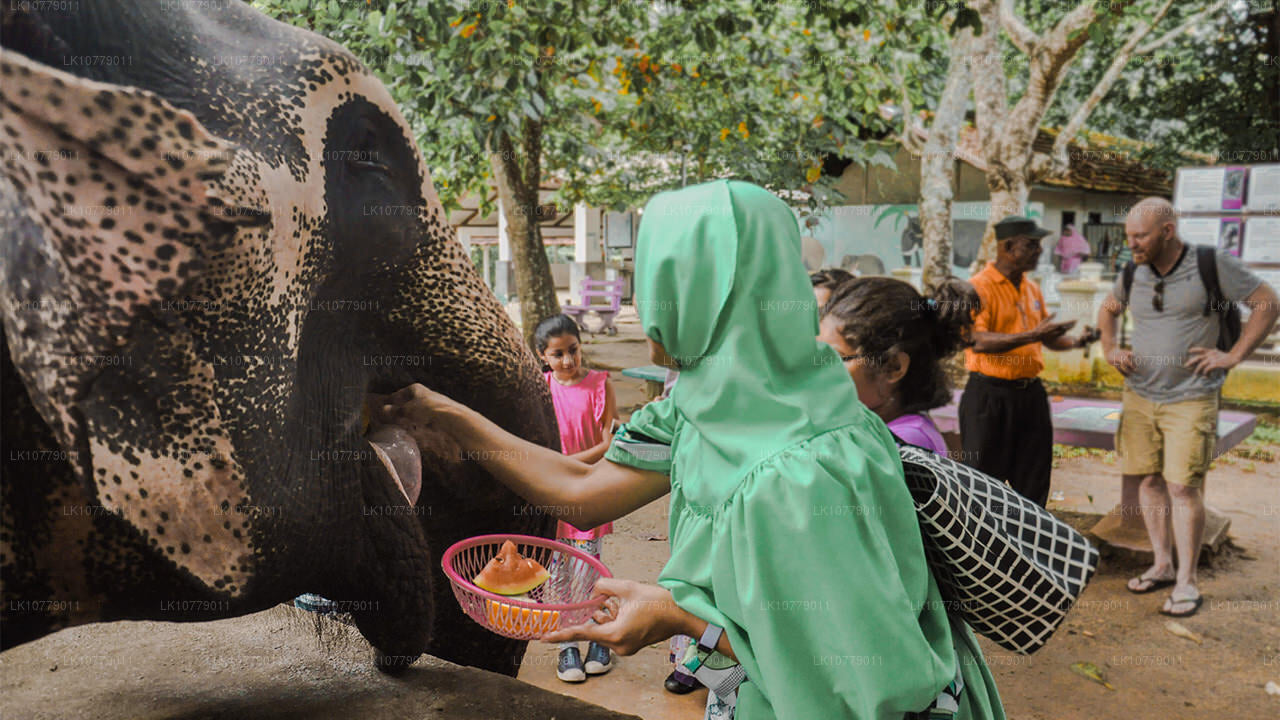Dans les collines (7 jours)