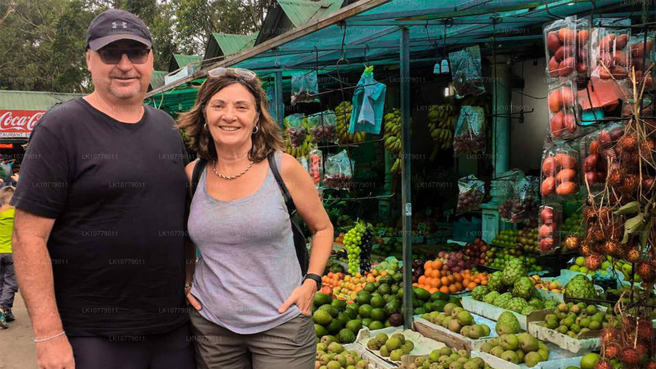 Dans les collines (7 jours)