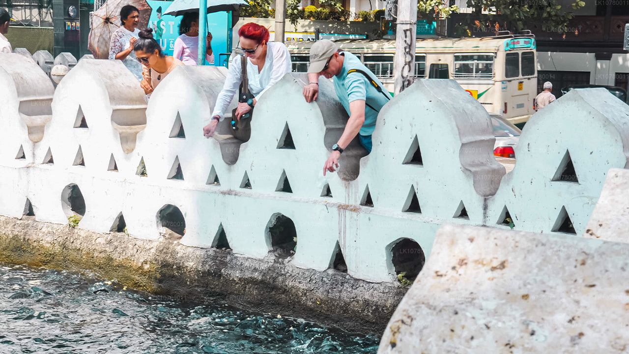 Mélange de rivage et de collines (7 jours)