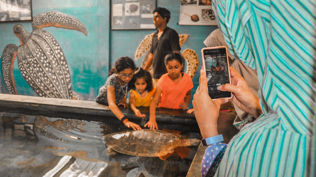 Côte Dorée du Sud (7 jours)