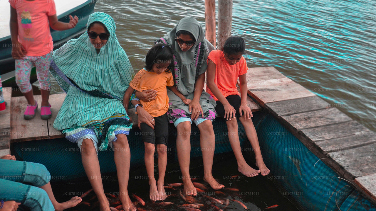 Côte Dorée du Sud (7 jours)