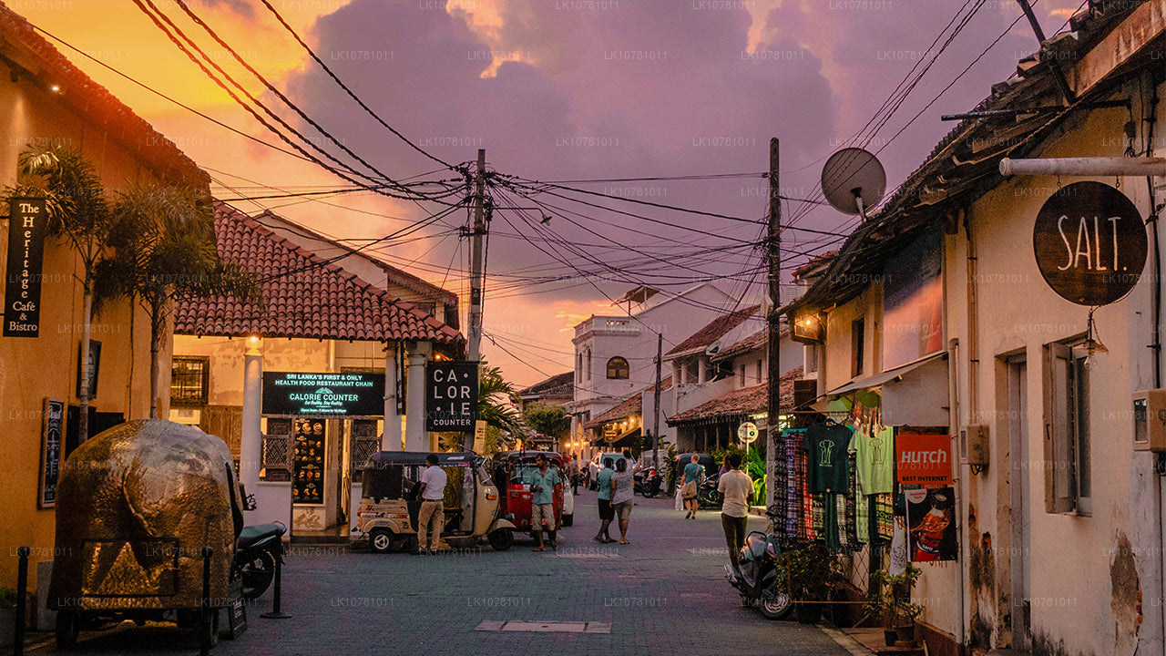 Côte Dorée du Sud (7 jours)