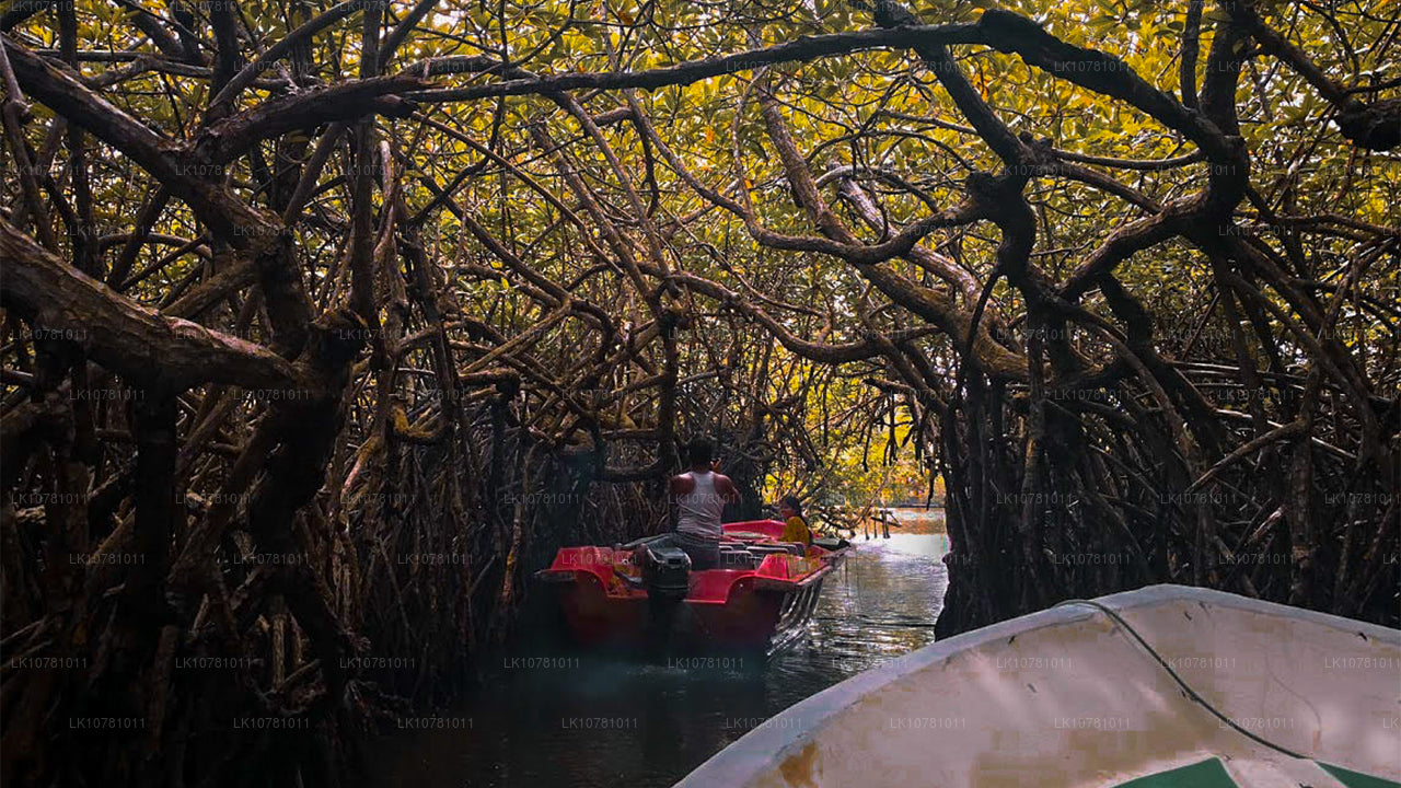 Côte Dorée du Sud (7 jours)