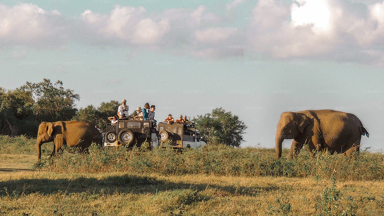 Merveilles de l'Orient (7 jours)