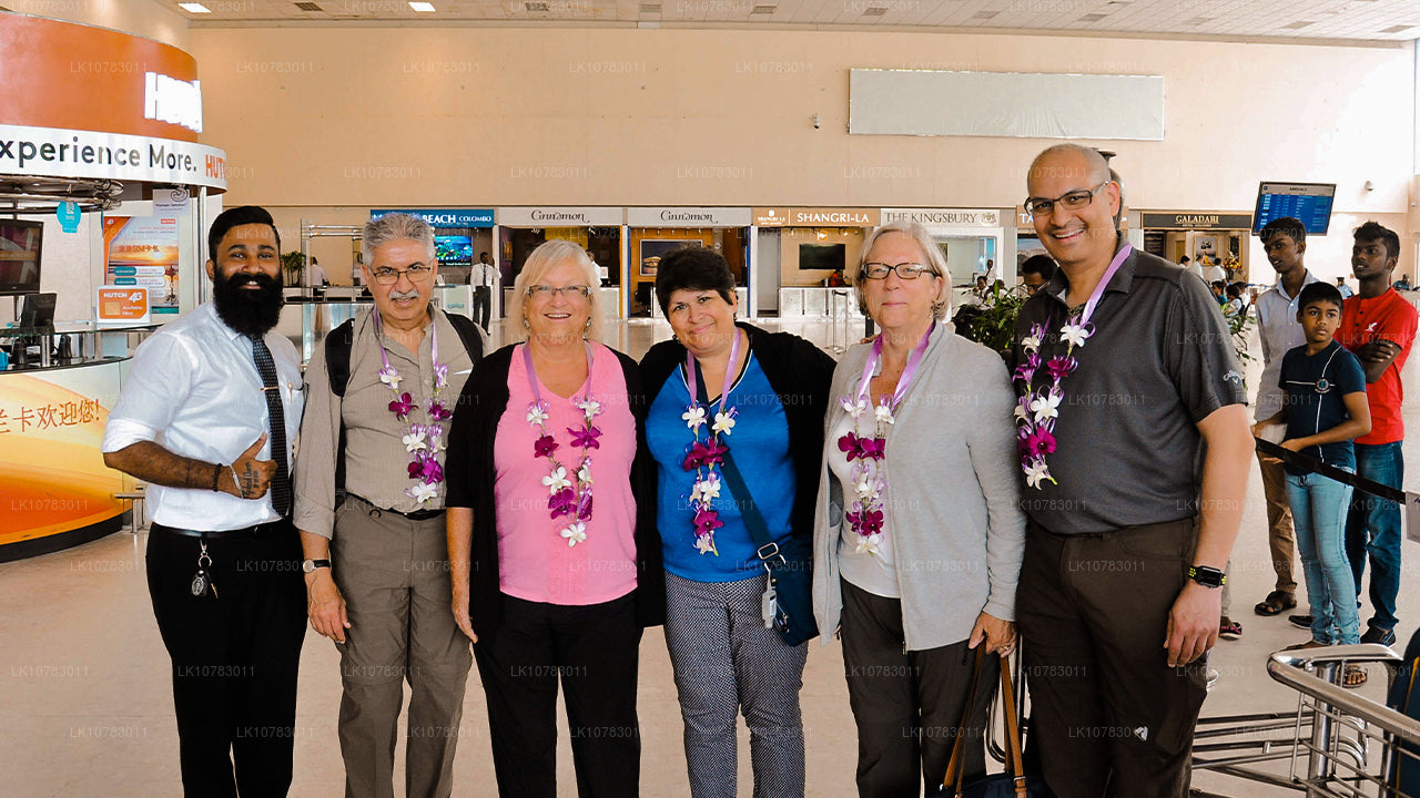 Les Big 5 de la saison de la côte sud (7 jours)