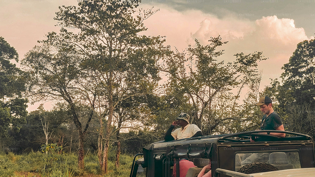 Les Big 5 de la saison de la côte sud (7 jours)