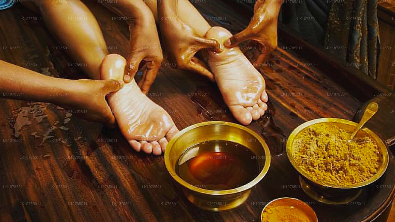 Escapade ayurvédique à Wadduwa (7 jours)