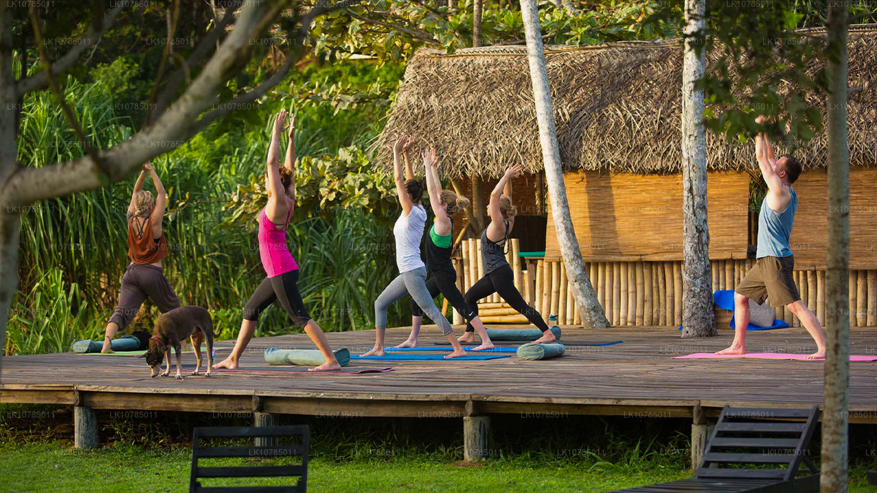 Escapade ayurvédique à Wadduwa (7 jours)