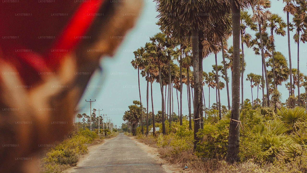 L'incroyable Jaffna (7 jours)