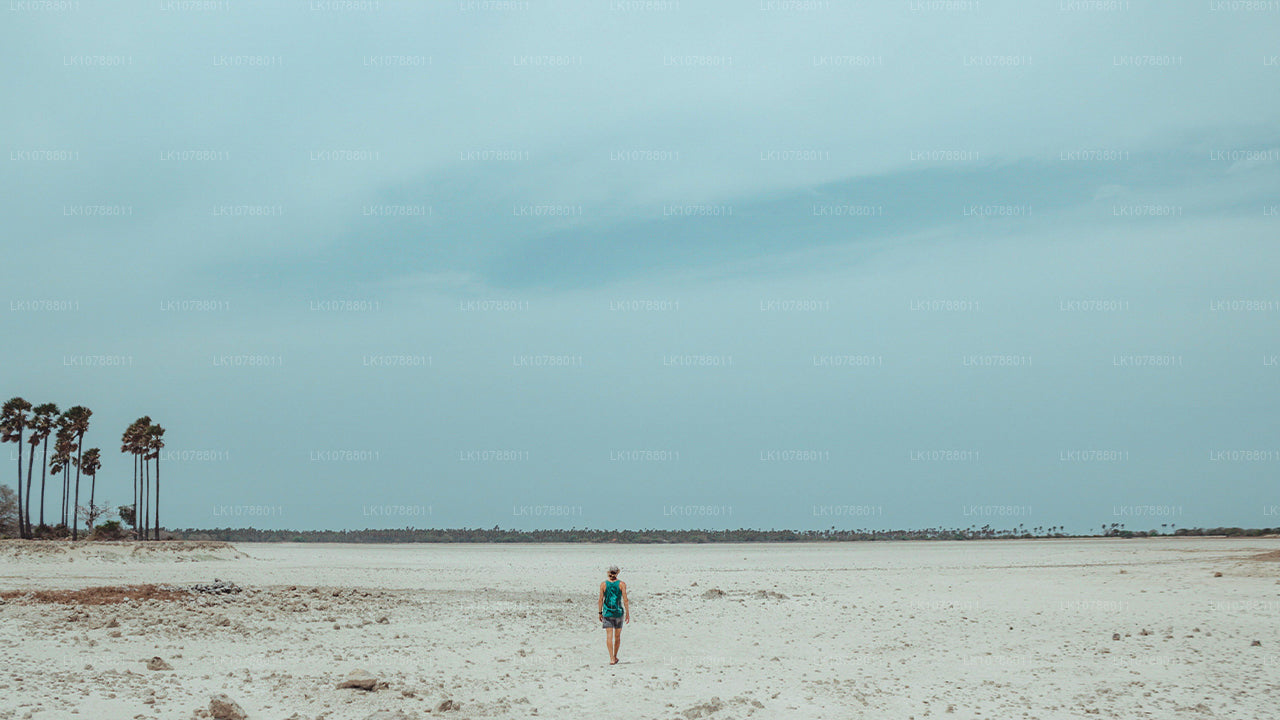 L'incroyable Jaffna (7 jours)