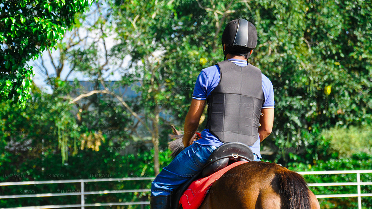 Balade à cheval (7 jours)