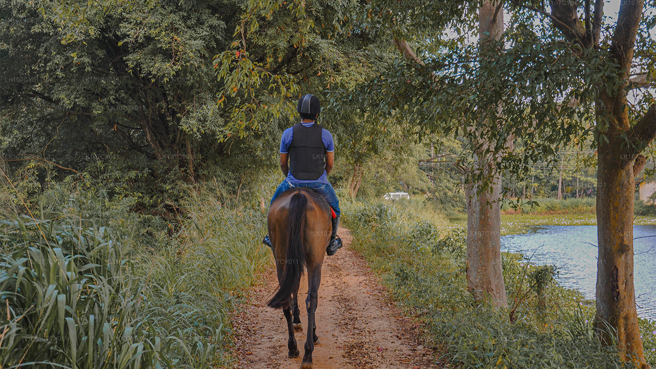 Balade à cheval (7 jours)