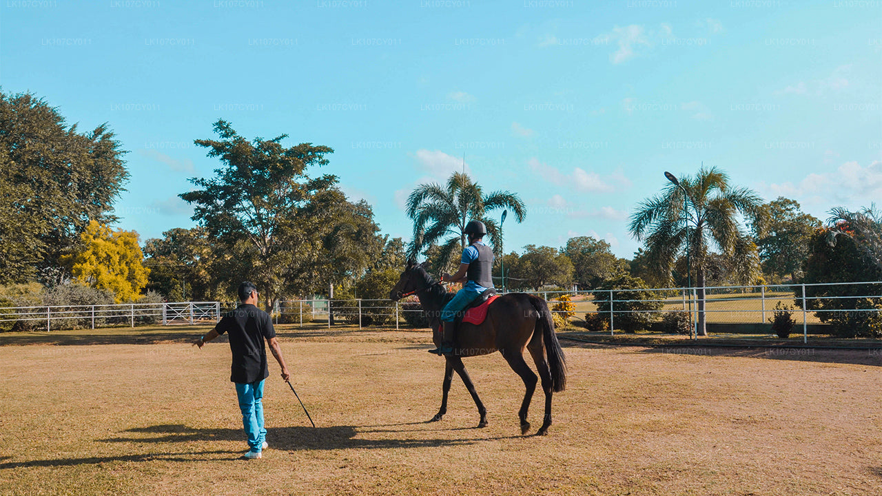 Balade à cheval (7 jours)