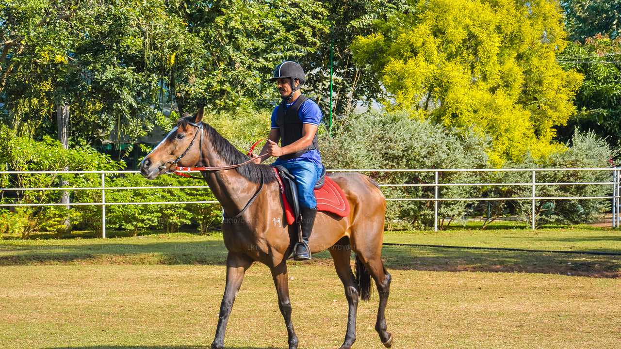 Balade à cheval (7 jours)