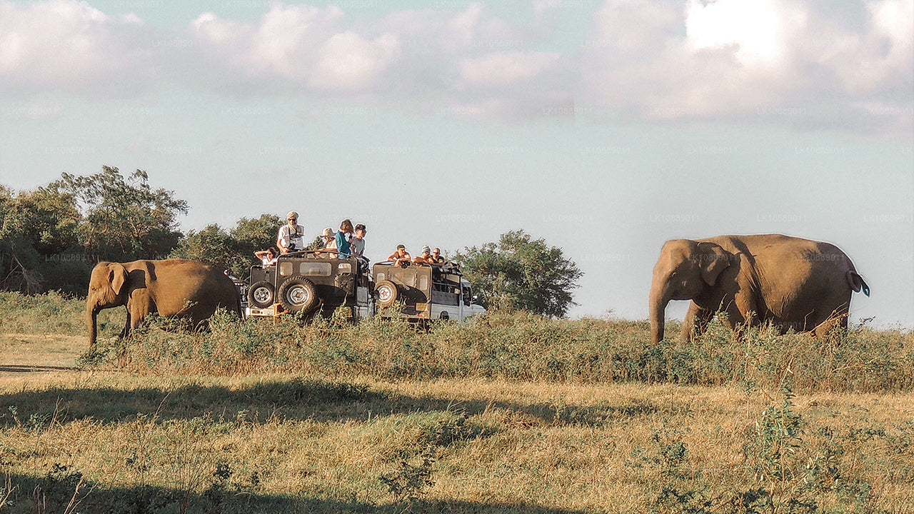 Promenade au cœur de la culture (8 jours)