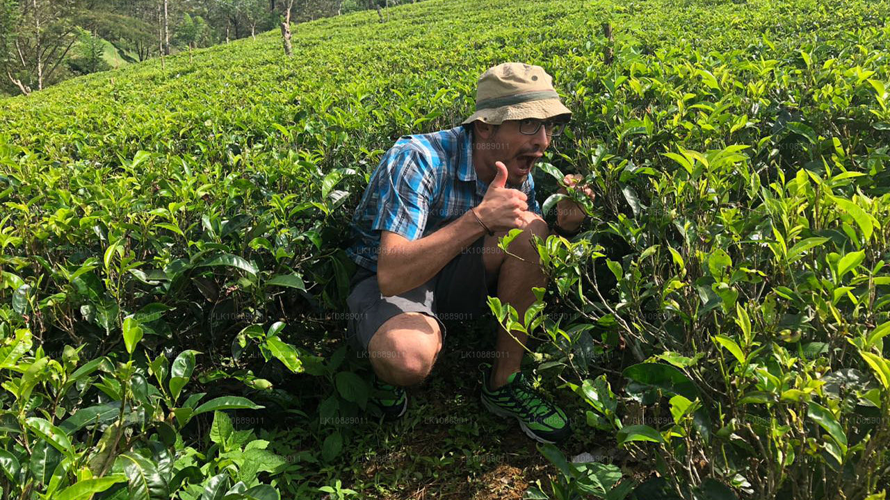 Promenade au cœur de la culture (8 jours)