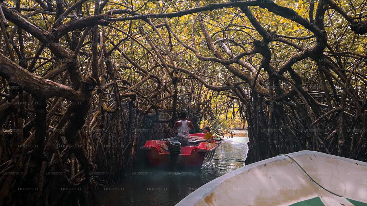 Promenade au cœur de la culture (8 jours)
