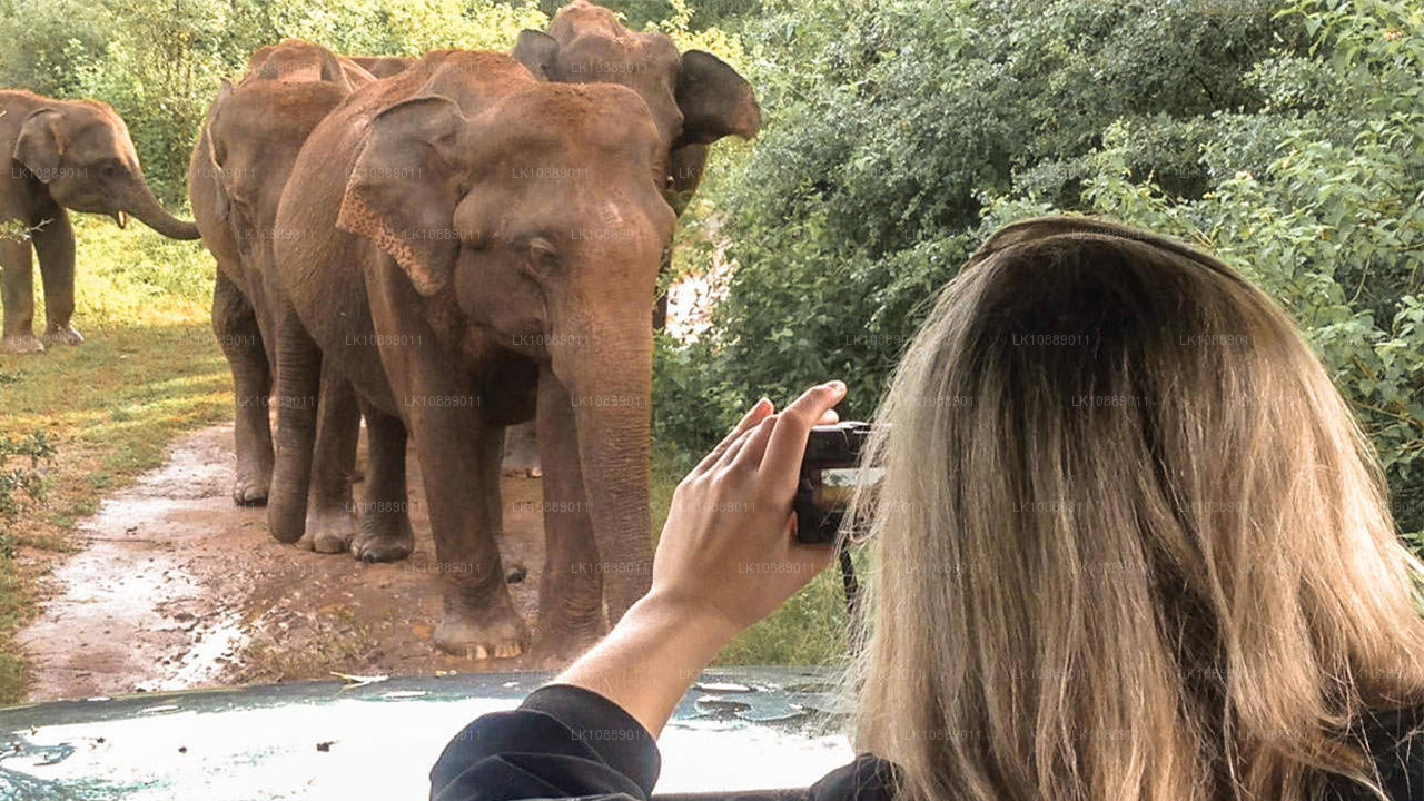 Promenade au cœur de la culture (8 jours)